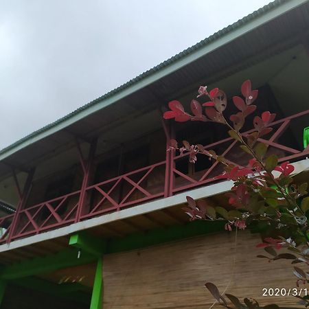 Green Forest Tangkahan ห้อง รูปภาพ
