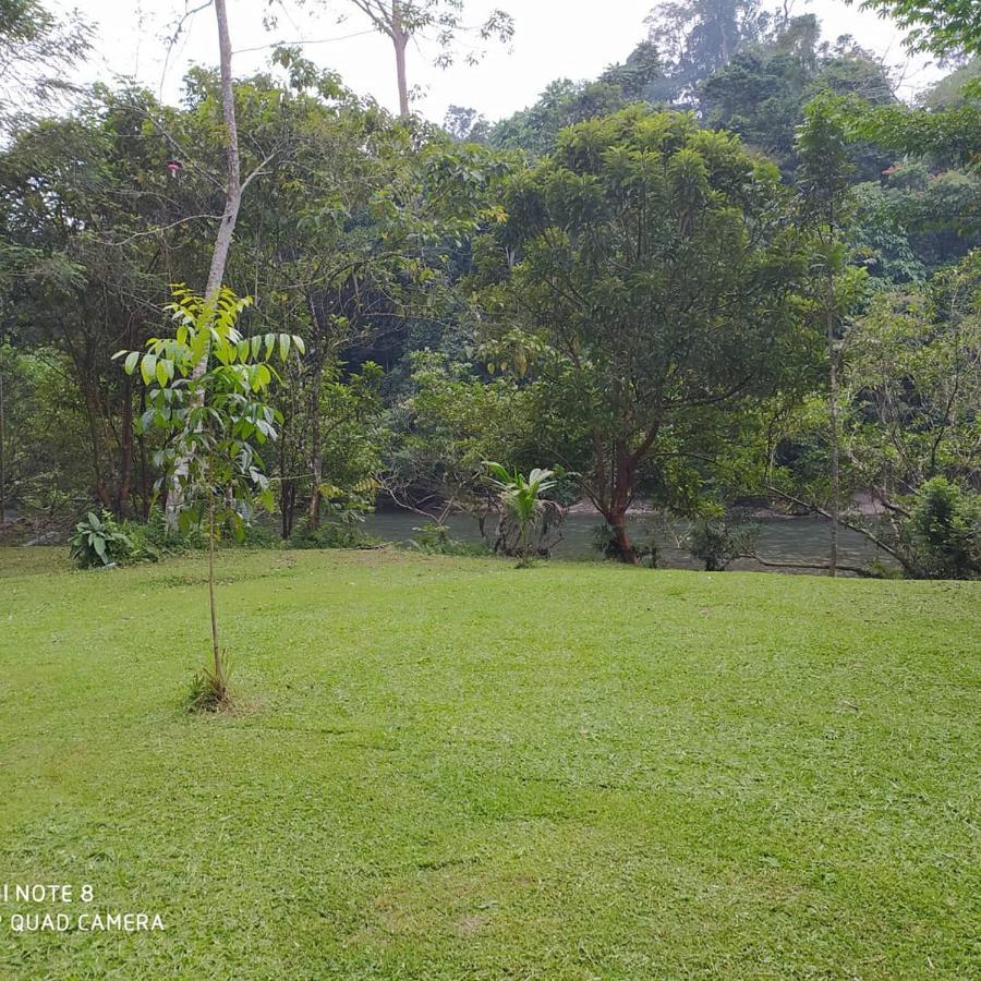 Green Forest Tangkahan ภายนอก รูปภาพ