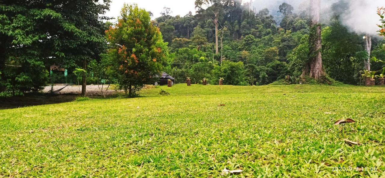 Green Forest Tangkahan ภายนอก รูปภาพ