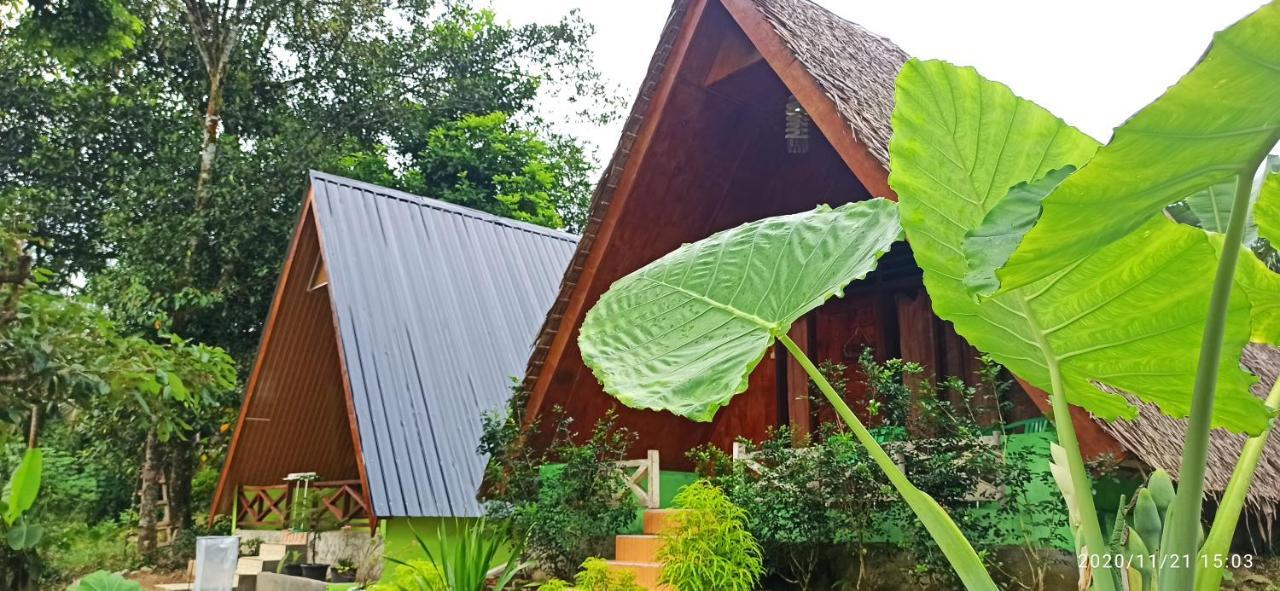 Green Forest Tangkahan ภายนอก รูปภาพ