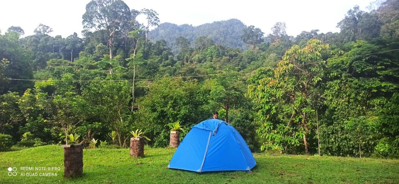 Green Forest Tangkahan ภายนอก รูปภาพ