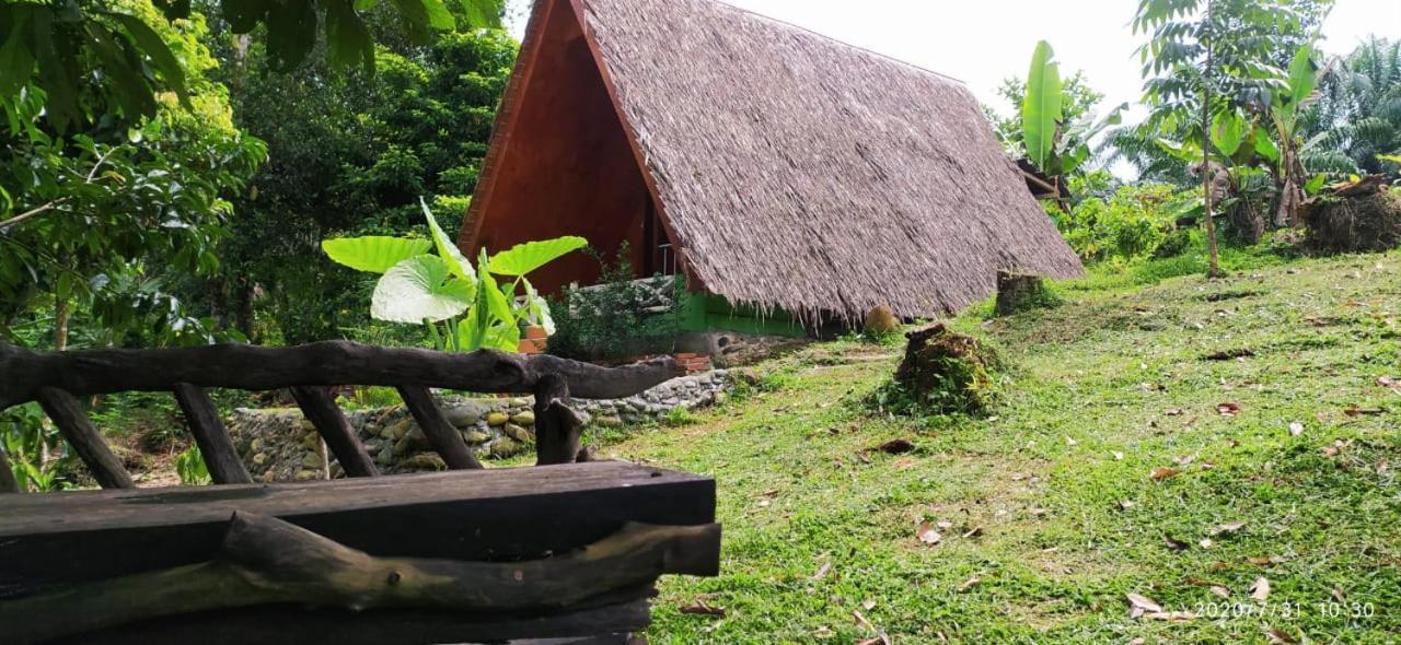 Green Forest Tangkahan ภายนอก รูปภาพ