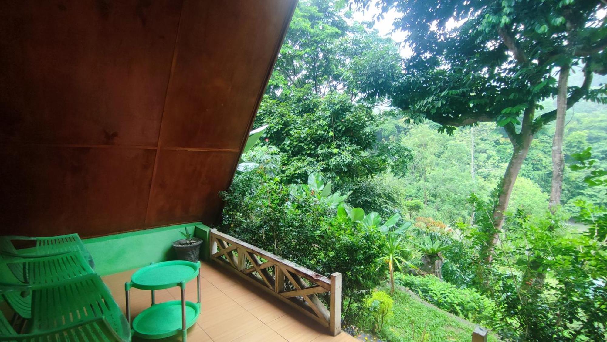 Green Forest Tangkahan ห้อง รูปภาพ