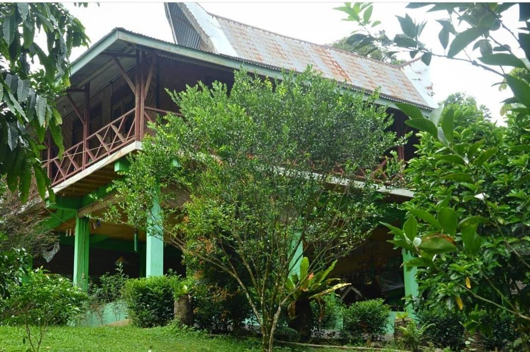 Green Forest Tangkahan ห้อง รูปภาพ