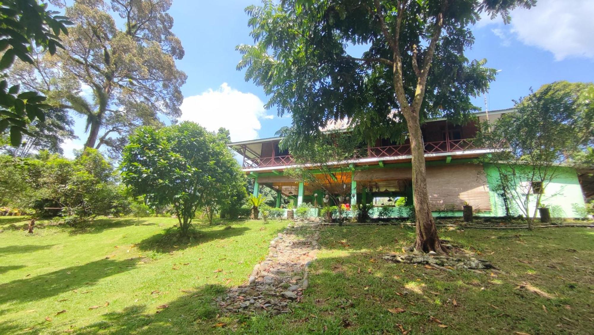 Green Forest Tangkahan ห้อง รูปภาพ