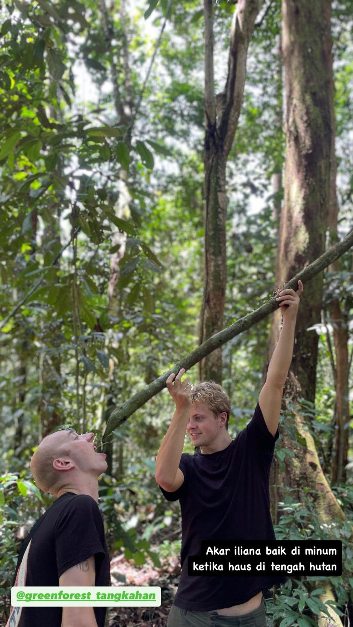 Green Forest Tangkahan ภายนอก รูปภาพ