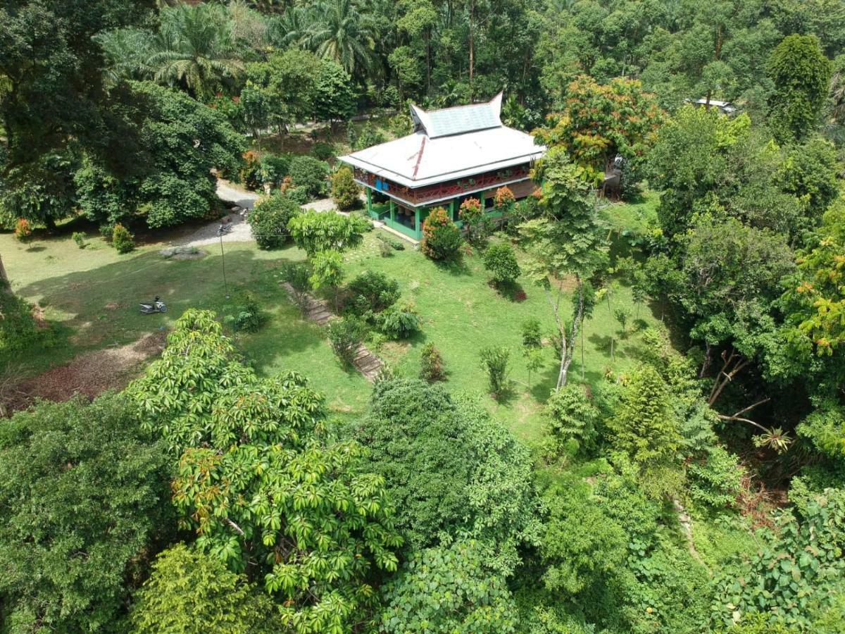 Green Forest Tangkahan ภายนอก รูปภาพ
