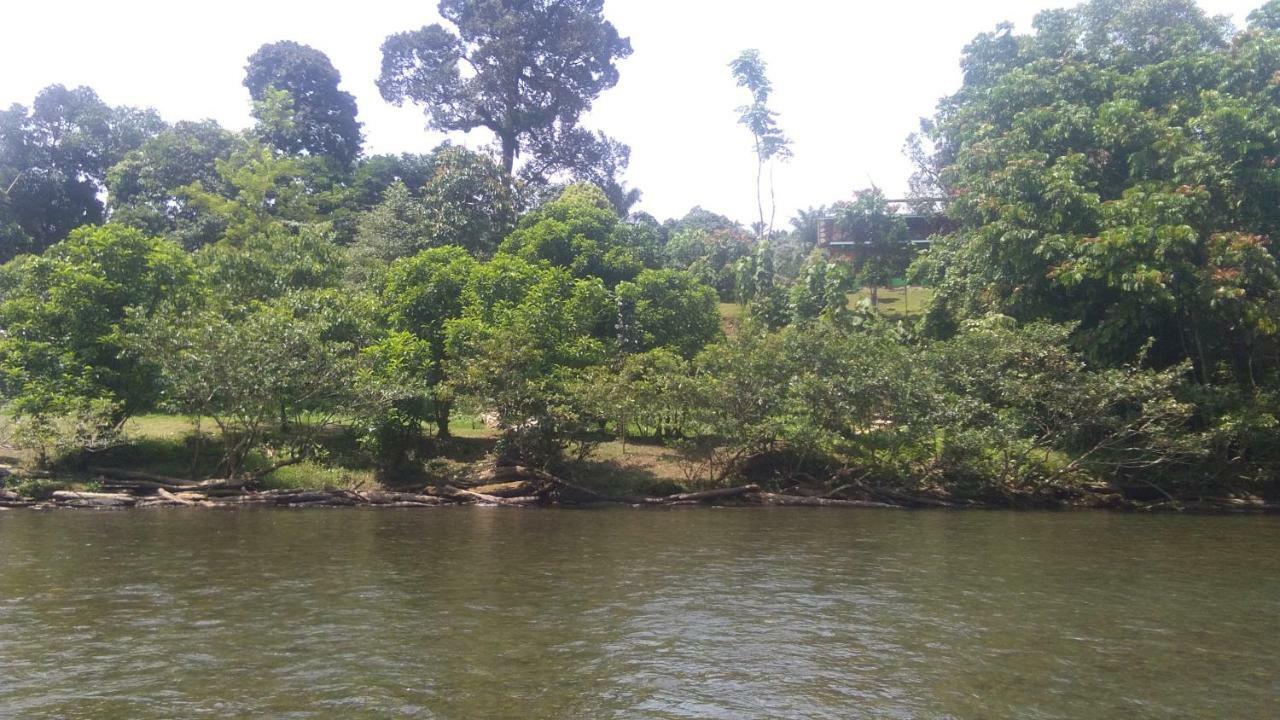 Green Forest Tangkahan ภายนอก รูปภาพ