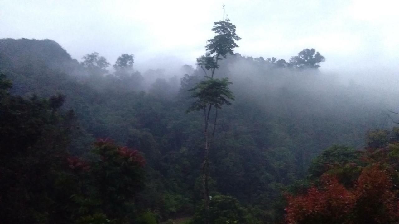 Green Forest Tangkahan ภายนอก รูปภาพ