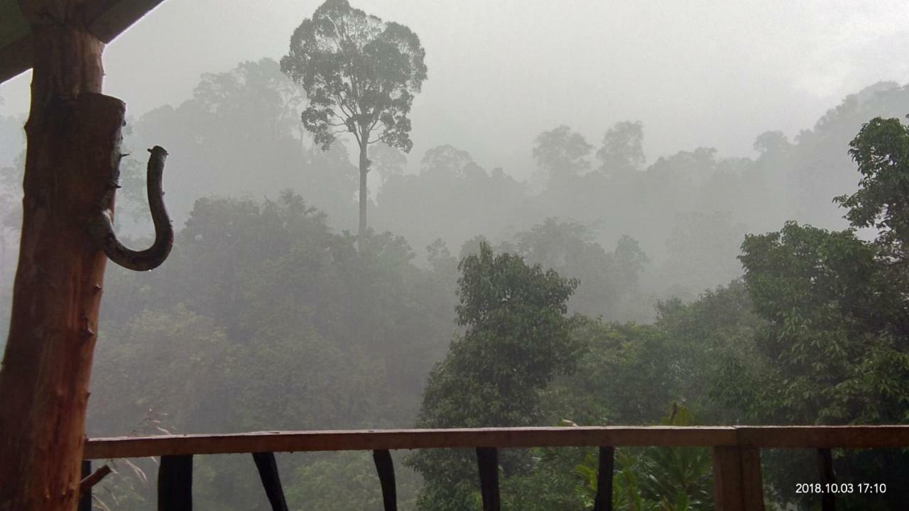 Green Forest Tangkahan ภายนอก รูปภาพ