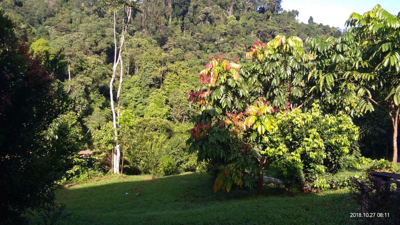 Green Forest Tangkahan ภายนอก รูปภาพ