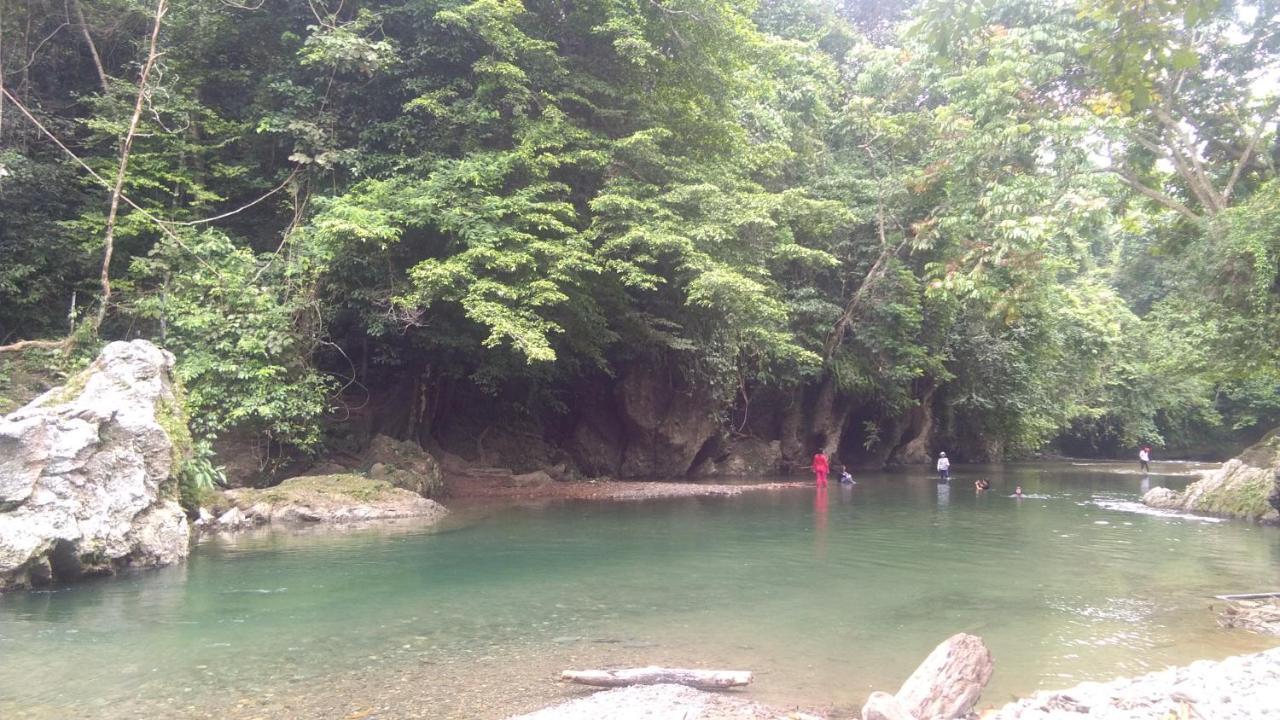 Green Forest Tangkahan ภายนอก รูปภาพ