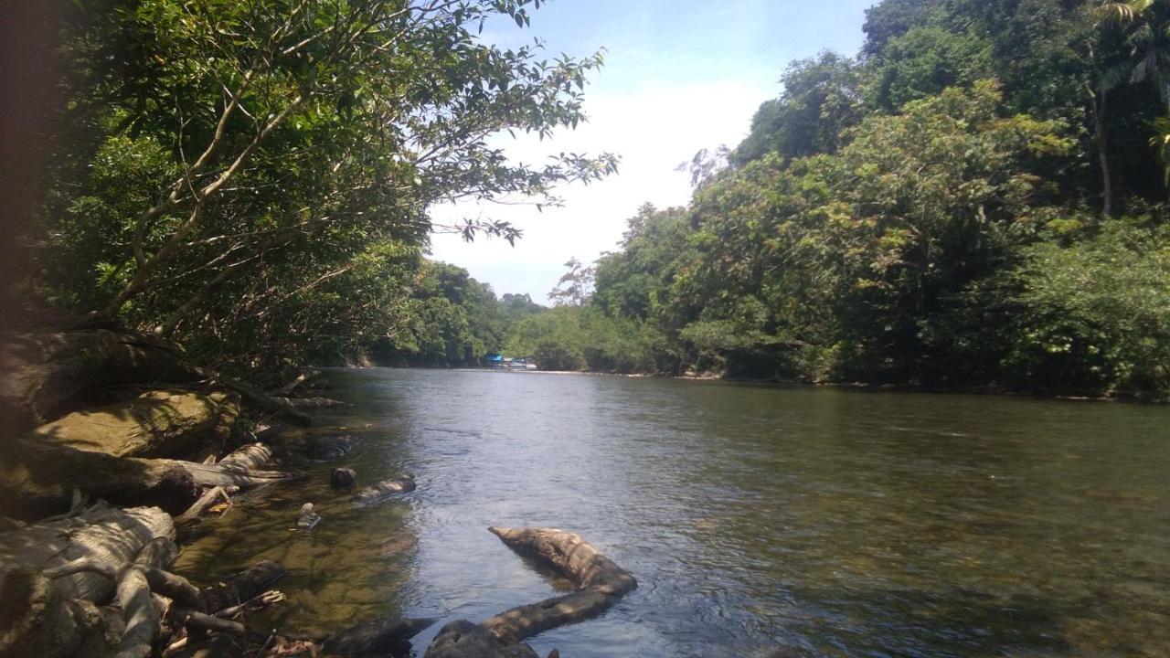 Green Forest Tangkahan ภายนอก รูปภาพ