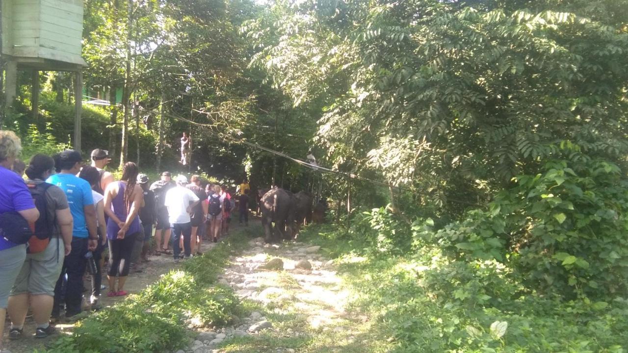 Green Forest Tangkahan ภายนอก รูปภาพ