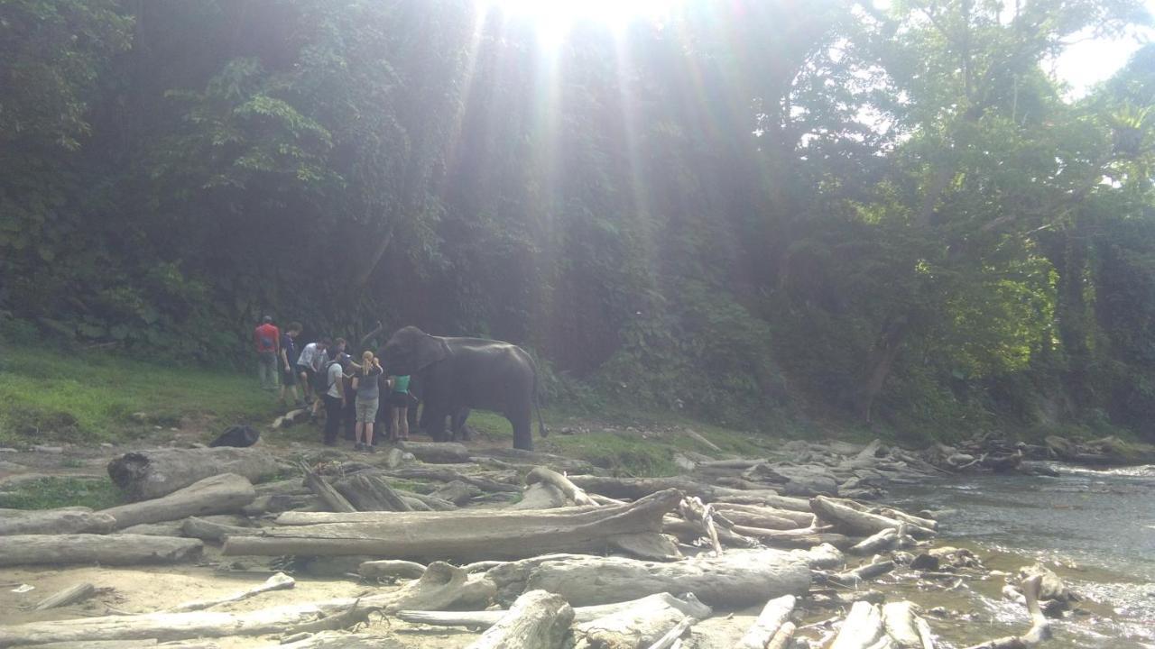 Green Forest Tangkahan ภายนอก รูปภาพ