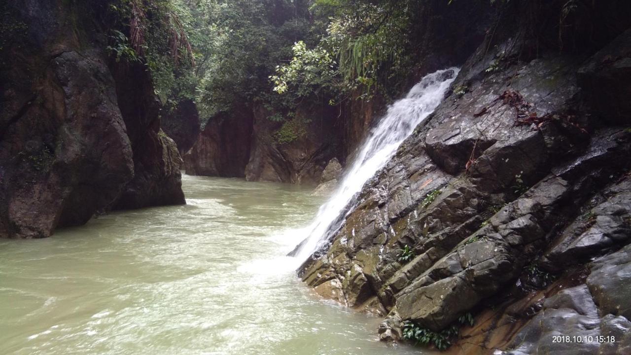 Green Forest Tangkahan ภายนอก รูปภาพ