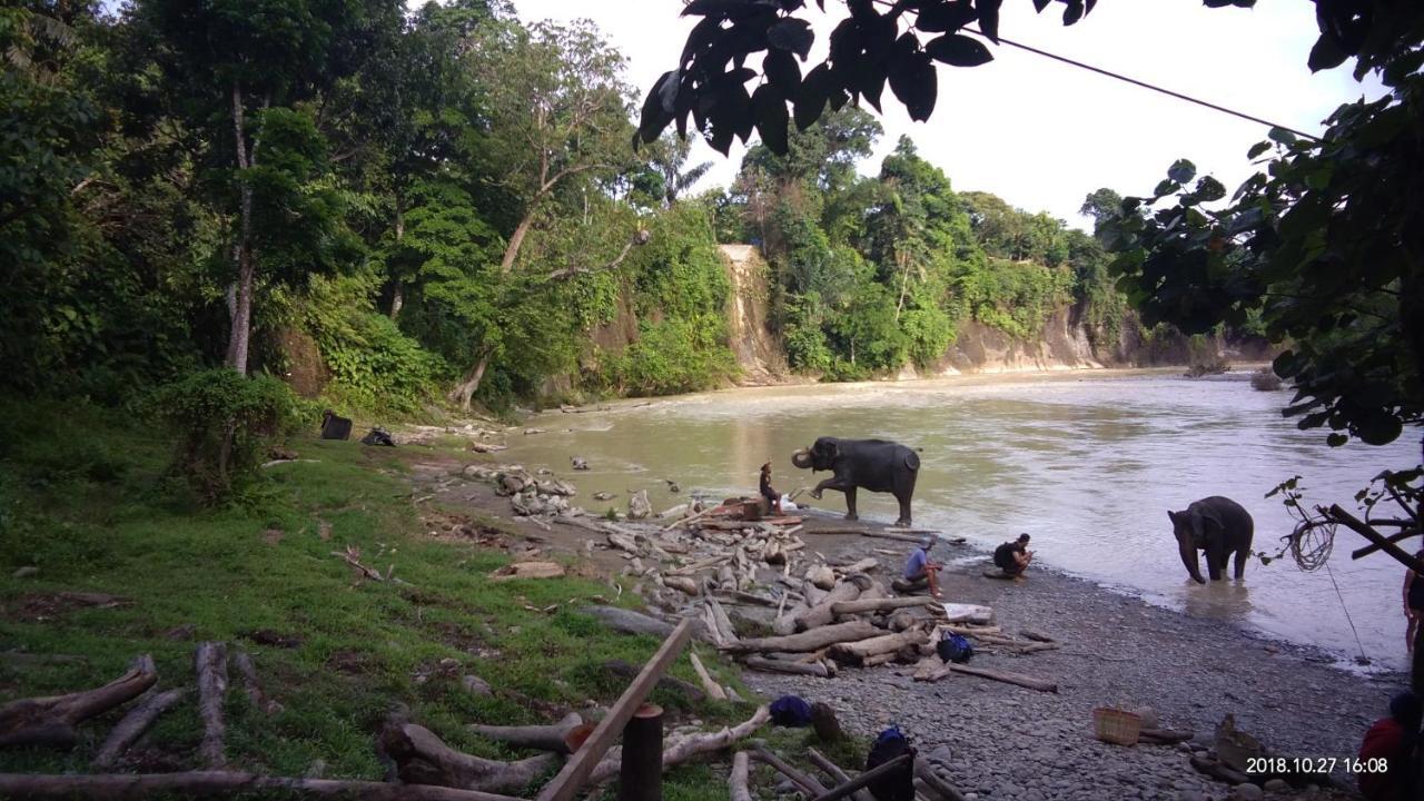 Green Forest Tangkahan ภายนอก รูปภาพ